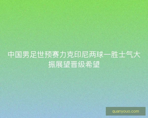 中国男足世预赛力克印尼两球一胜士气大振展望晋级希望 中国男足世预赛力克印尼两球一胜士气大振展望晋级希望